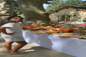 Traiteur brunch : prix, formules et critères pour bien choisir